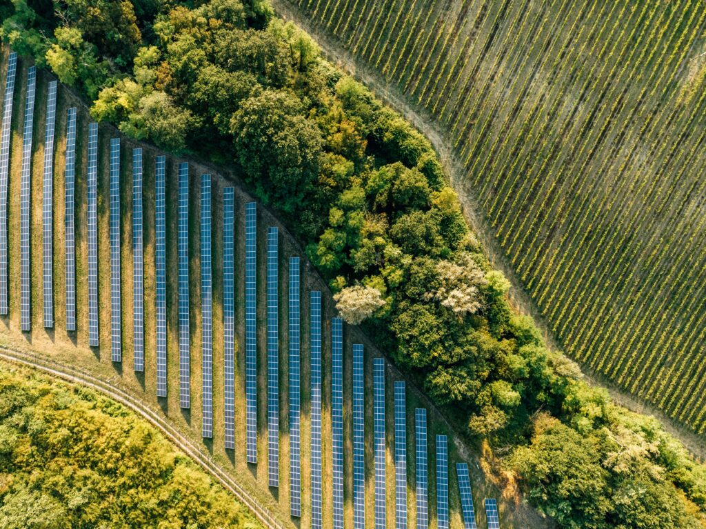 Aerial view of green fields separated by a row of green trees. lines form in the fields from agricultural activity