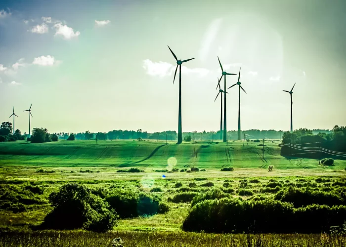 responsive_big_webp_KESXI9aB0LcAzjtQ30k5fE04Q-kMQLYX2U5UuZjTwFM